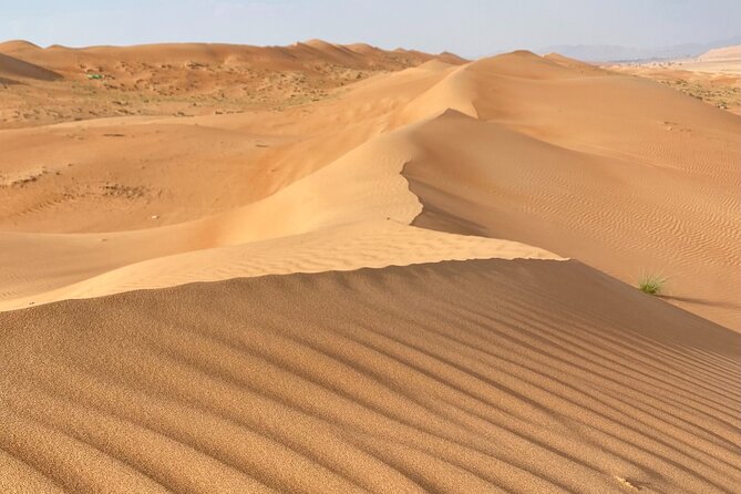 Desert Adventure with Off-Roading and Swimming in Wadi (Private). - The Mountain Pause at Sama’il Gap