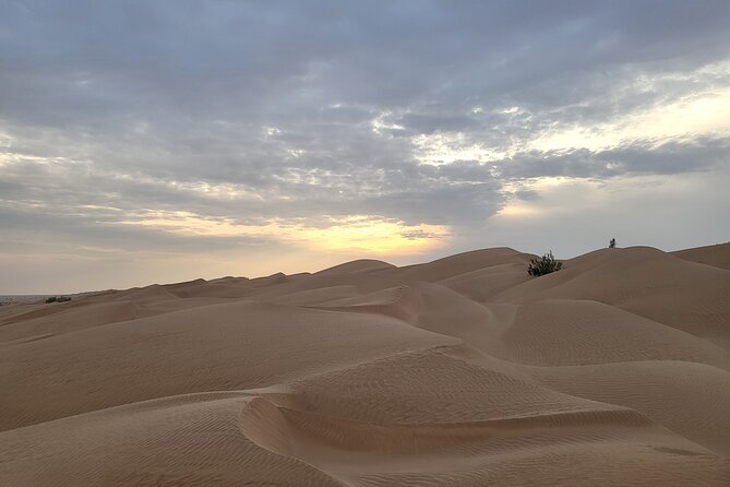 Desert Safari in Empty Quarter with Dune Bashing - Is $216 good value for this private desert day?