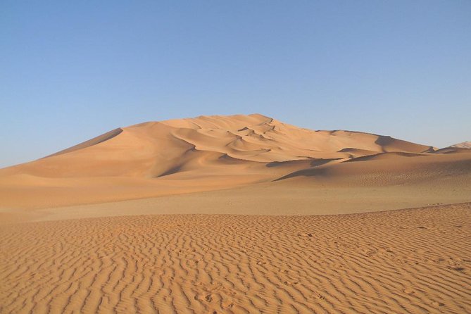 Desert Safari in the Rub al Khali - A short stop among Boswellia Sacra trees