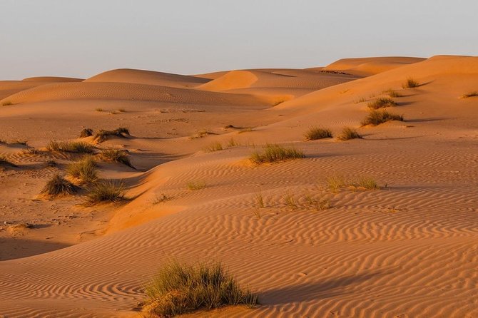 Desert Safari Private - What this Muscat desert safari really offers