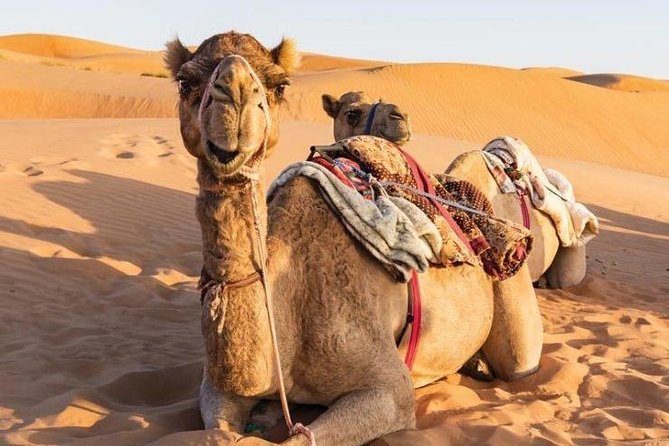 Desert Safari Private - Wahiba Sands and the one-hour desert stop