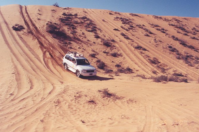 Desert Safari to Wahiba Sands and Wadi Bani Khalid from Muscat - Dune bashing across Wahiba Sands