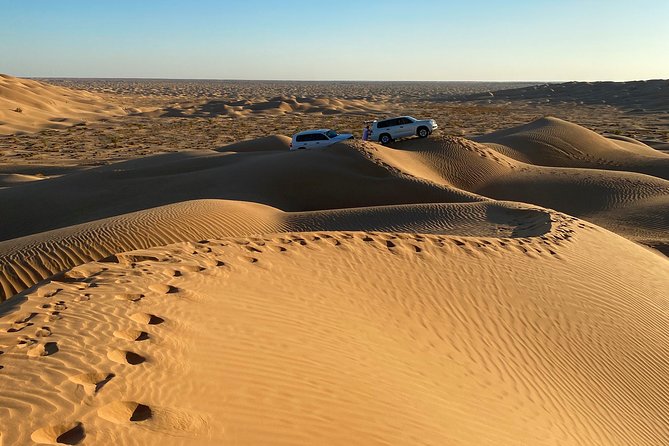 Desert Safari Trip Full Day & Ubar Lost city - What the $195 price really buys you