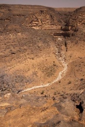 Desert Sunset Magic – Salalah Empty Quarter Experience - Key points at a glance