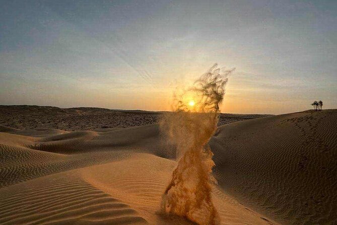 Desert Sunset Tour VisitSalalah - Wadi Dawkha and the frankincense trees