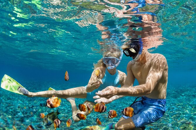 Dimaniyat Island Tour with Snorkeling - Reaching the Dimaniyat Islands by boat