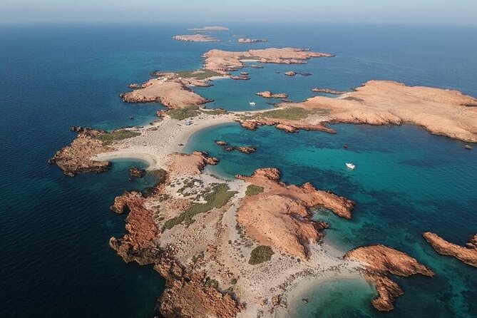 Dimaniyat Island Tour with Snorkeling - Turtle watching in their natural setting