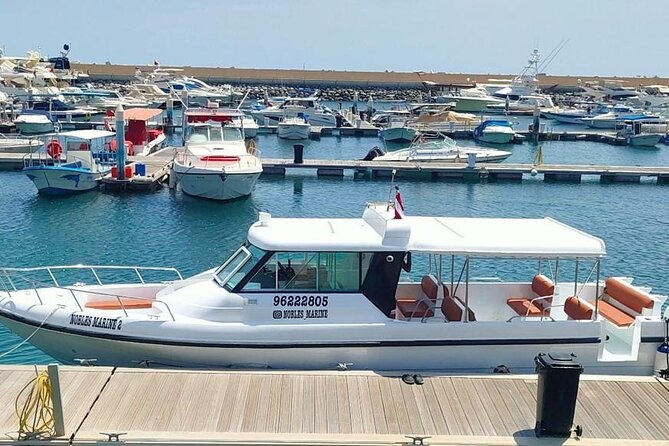 Dimaniyat Island Tour with Snorkeling - Swimming, beach time, and the optional kayak