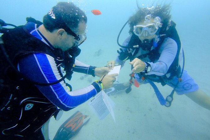 Discover Scuba Diving from a Fishing Village - What $138 means in practical value