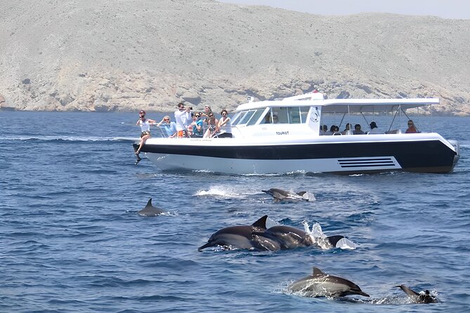 Dolphin Watching and Snorkeling Activity in Muscat - Key points to know before booking