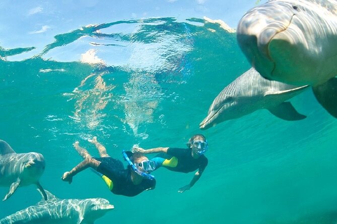 Dolphin Watching and Snorkeling Activity in Muscat - Group size, pickup, and the rhythm of the morning