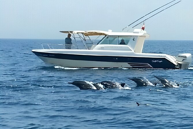 Dolphin Watching and Snorkeling Activity in Muscat - Timing concerns you should settle before departure