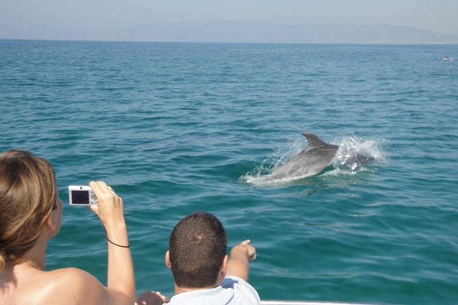 Dolphin Watching and Snorkeling Tour from Muscat - Pickup, timing, and cruise-ship planning