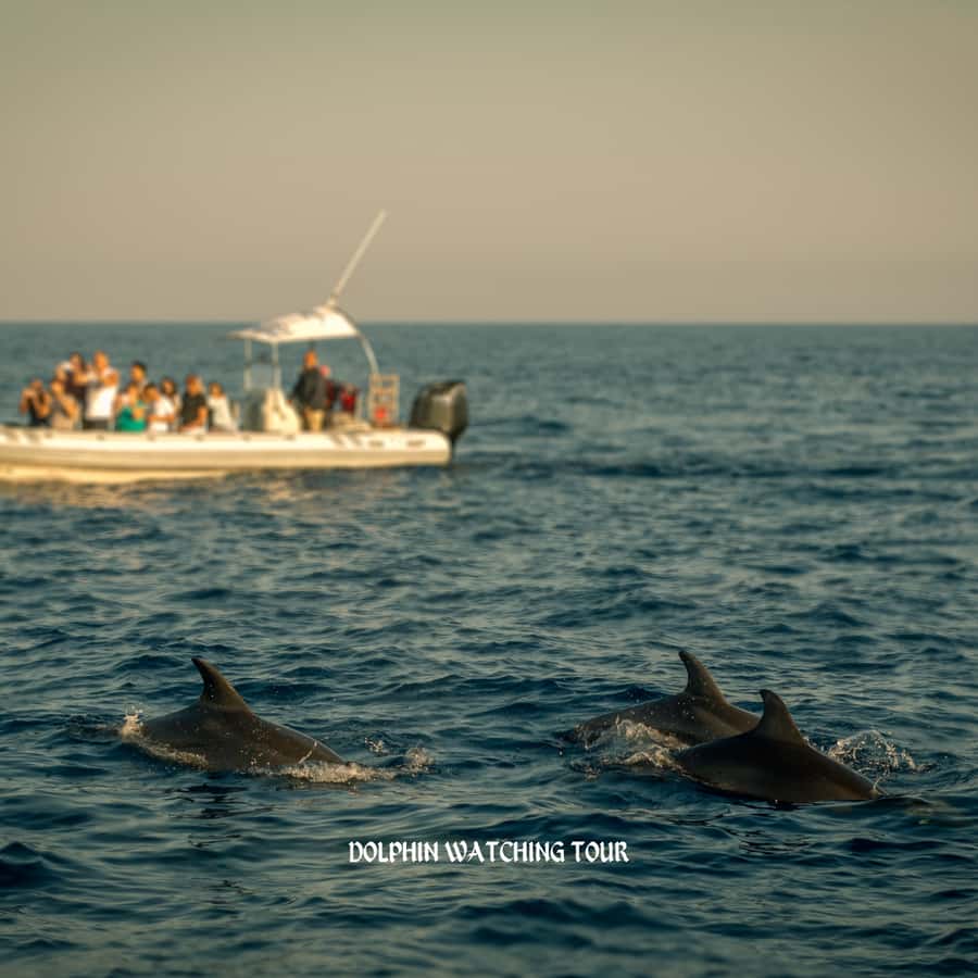Dolphin Watching and Snorkeling Tour with Hotel Transfers - Snorkeling beside the boat