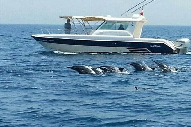Dolphin Watching in Muscat - What the boat ride feels like