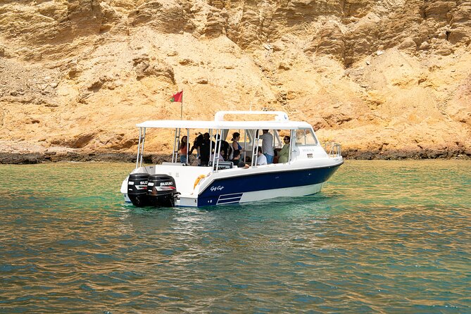 Dolphin Watching in Muscat - How much value does $59 offer?