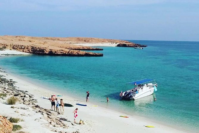 Dolphin Watching & Snorkeling - Key points at a glance