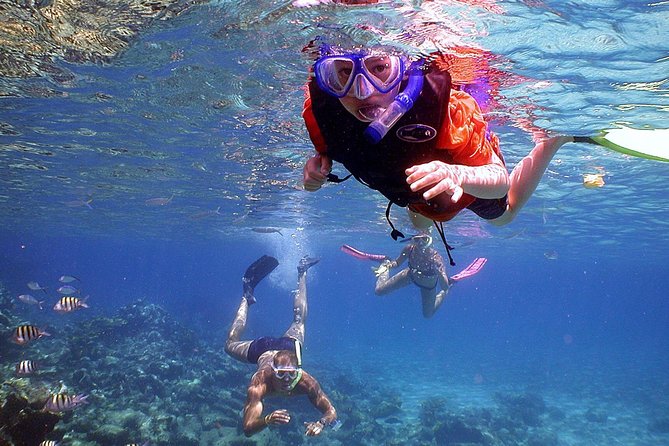 Dolphin Watching & Snorkeling - The boat, shade, water, and comfort