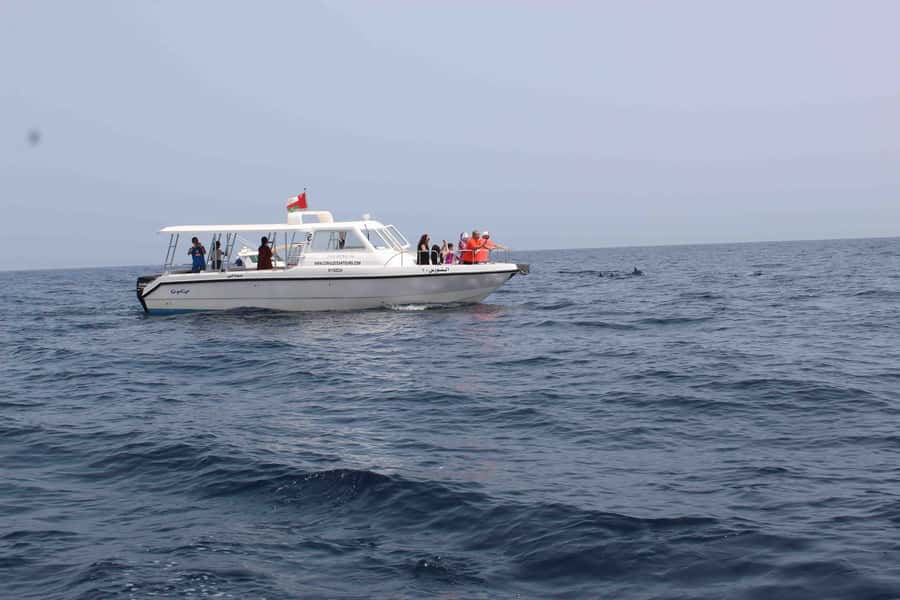 Dolphin Watching Tour - Key points at a glance