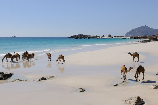 East and West Salalah Combination Private Full-day Tour - Fizayah Beach and the final change of pace