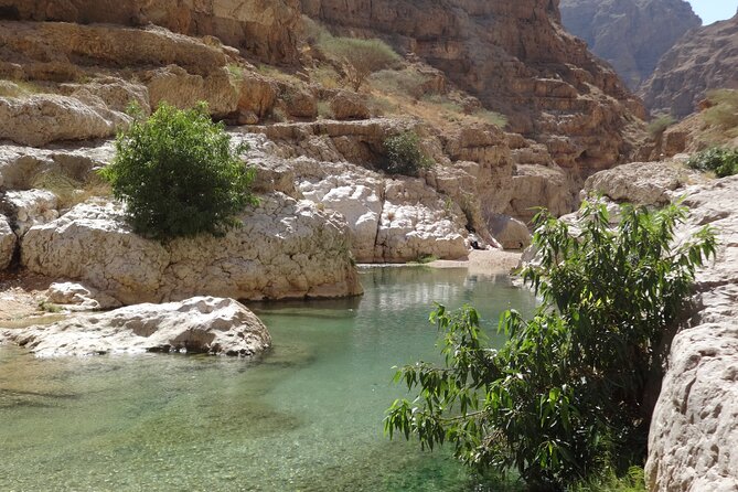 East Coast and Wadi Shab tour - Sur connects boatbuilding with coastal life