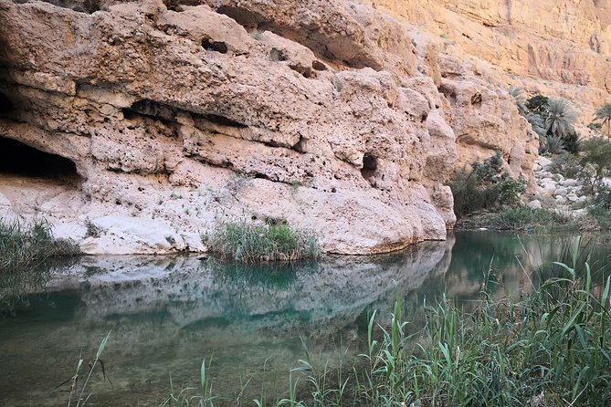 East Coast and Wadi Shab tour - Transport, group size, and the practical details
