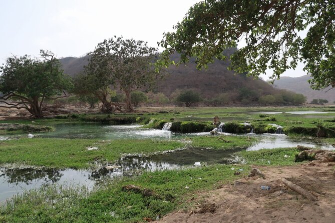 East of Salalah, Mountain Safari, Camels, Waterfall, White beach - Camels and White Beach round out the coastal side