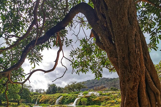 East of Salalah, Mountain Safari, Camels, Waterfall, White beach - The Taqah viewpoint frames the coast
