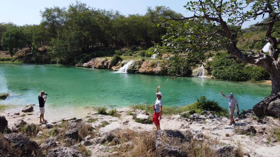 East Salalah Adventure: Nature, History, and Scenic Views - How the small group and guide shape the day