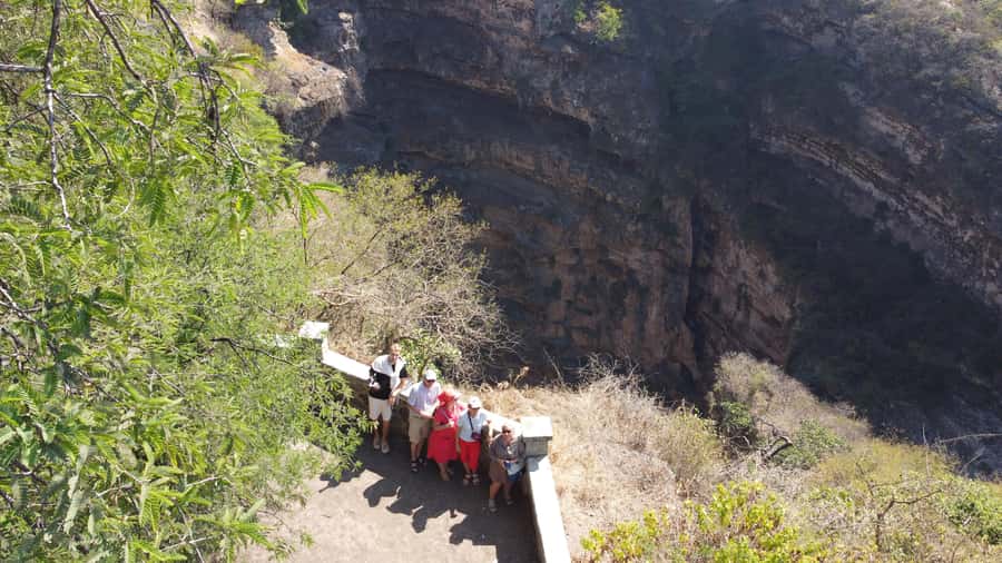 East Salalah Adventure: Nature, History, and Scenic Views - Baobab trees give the road an unusual character