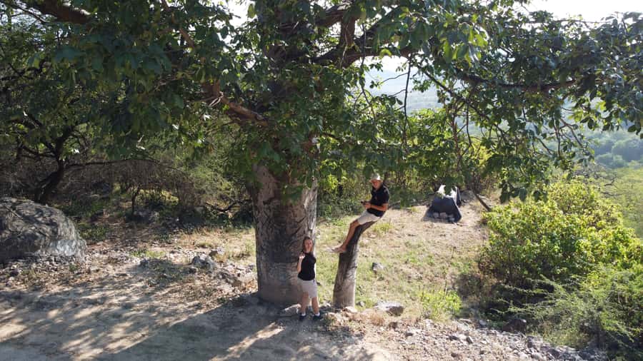 East Salalah Adventure: Nature, History, and Scenic Views - Mirbat explains the coast through old streets and seafaring