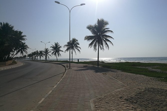 East Salalah Highlights: Half-Day Heritage & Scenic Countryside - Taqah Cliff, ocean air, and a chance of dolphins