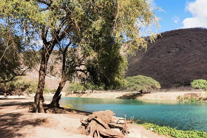 East Salalah Highlights: Half-Day Heritage & Scenic Countryside - Tawi Attair and the Well of Birds