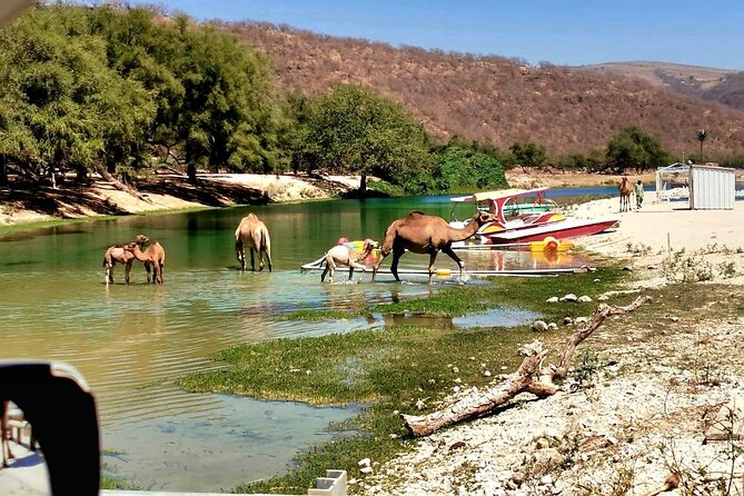 East Salalah Private Tour by VisitSalalah - Jabal Samhan: a mountain change of pace