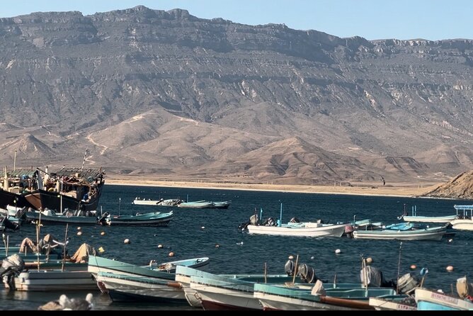 East Salalah tour Full day (private tour) - The private format and guide style