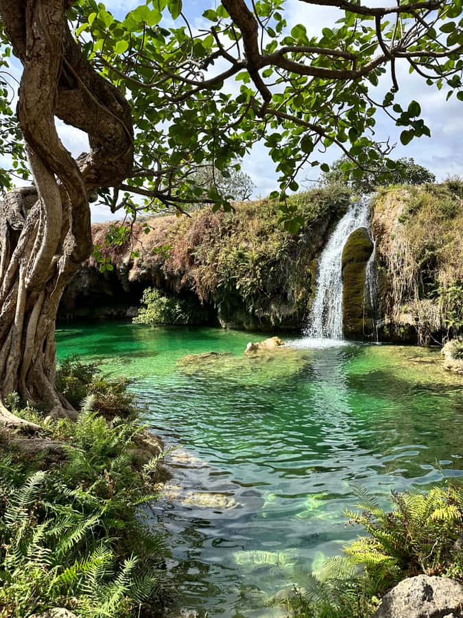 Elite Private Full Day Tour - Salalah Main Attractions - Why this route works for a first Salalah day
