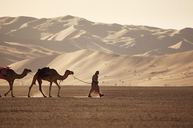 Empty Quarter & Lost City from Salalah - The return through frankincense country