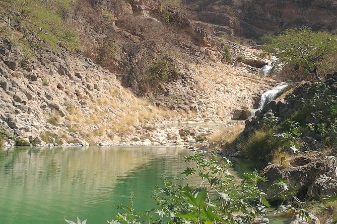 Enjoy a Full-Day Tour Uncovering East Salalah’s Hidden Gems - Why East Salalah works so well in one day