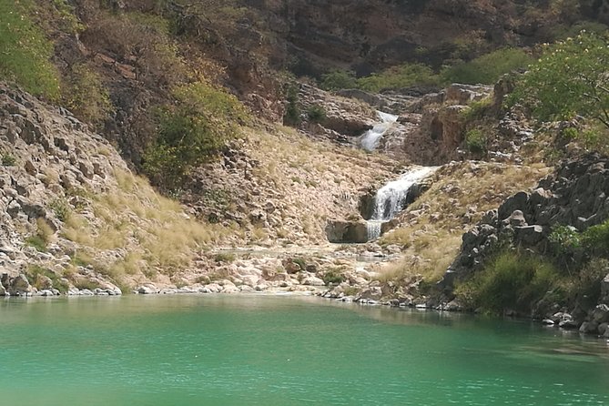 Enjoy a Full-Day Tour Uncovering East Salalah’s Hidden Gems - Wadi Darbat, water, trees, and camels