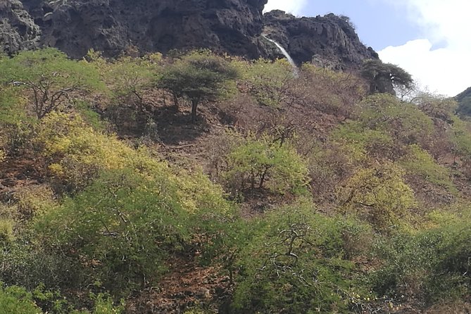 Enjoy a Full-Day Tour Uncovering East Salalah’s Hidden Gems - Sumhuram, an ancient port in the frankincense trade