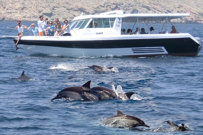 Experience Dolphin watching and snorkeling in Muscat - Key points before you book