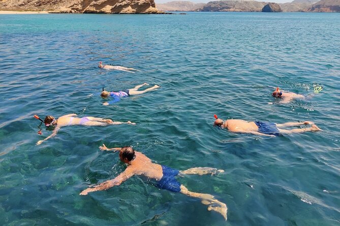 Experience Dolphin watching and snorkeling in Muscat - Searching for dolphins along Oman’s coast