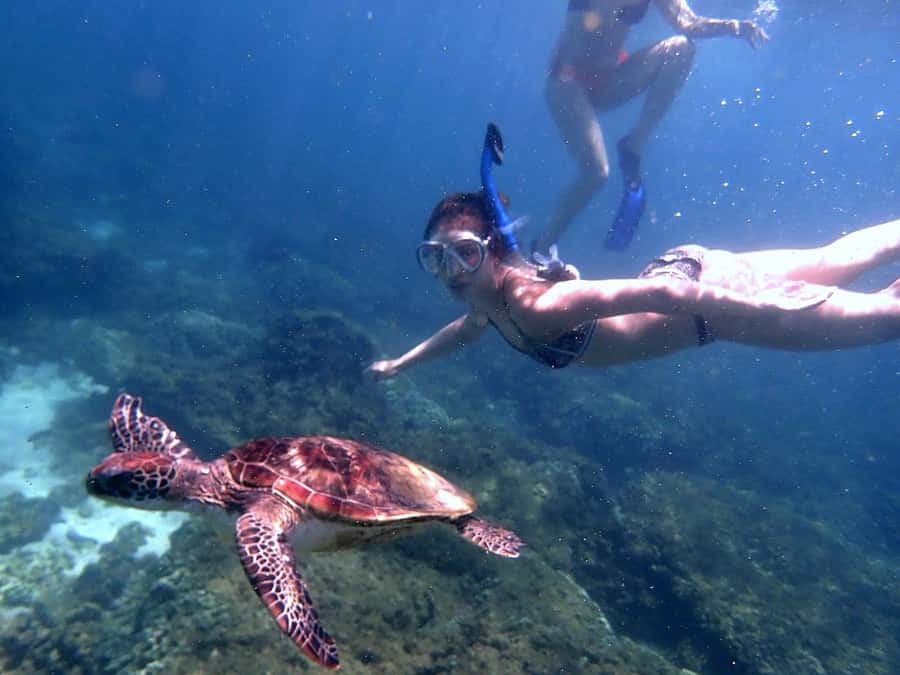 From Al-Seeb: Dimaniyat Islands Boat Trip with Snorkeling - Snacks and a break between the two sites
