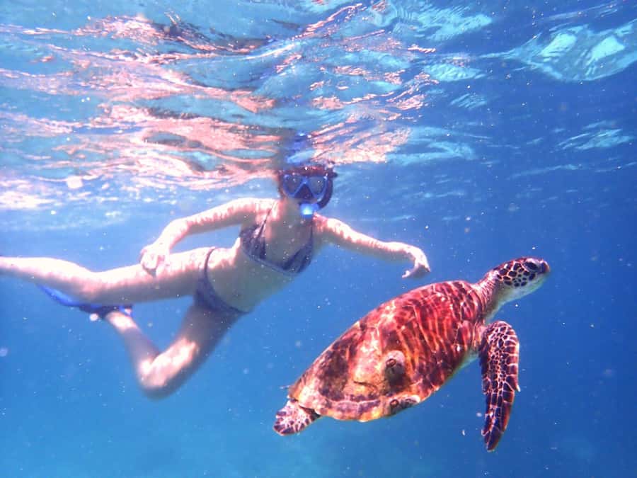 From Al-Seeb: Dimaniyat Islands Boat Trip with Snorkeling - What the crew adds to the day