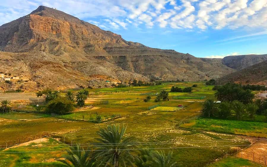 From Dubai: Musandam Khasab Tour with Boat Trip and Safari - Who Will Enjoy This Musandam Day Trip