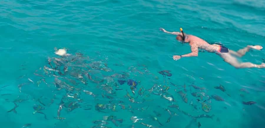From Dubai to Norway of Arabia|Telegraph Island| Dhow Cruise - Who should book this Musandam cruise?