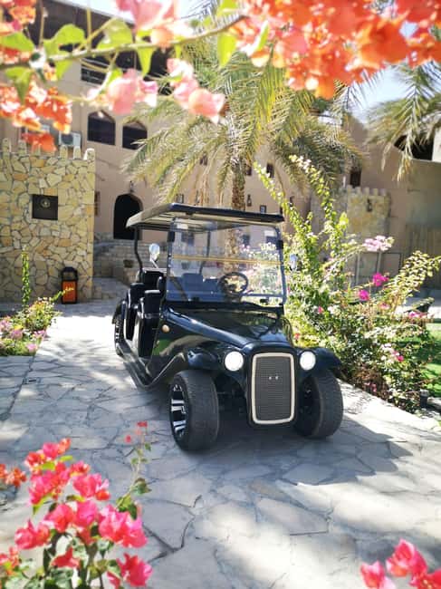 From Jebel Akhdar: Al Aqur Village Cultural Cart Tour - A gentle ride into Al Aqur’s old quarter