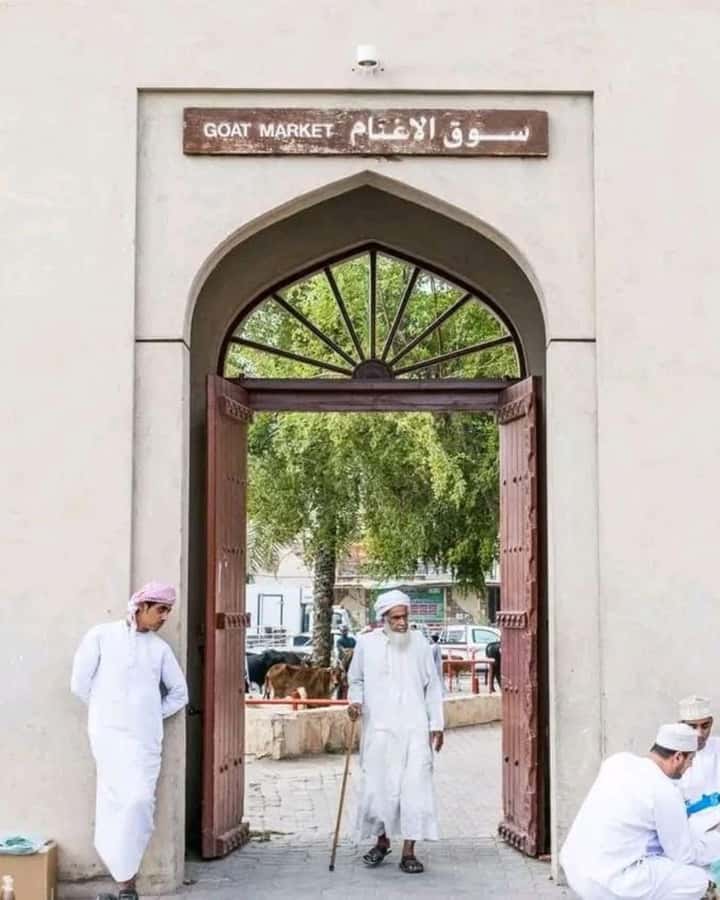 From Muscat: 3-Days Nizwa, Desert, Turtle, Wadi Shab - What this three-day Oman route really feels like