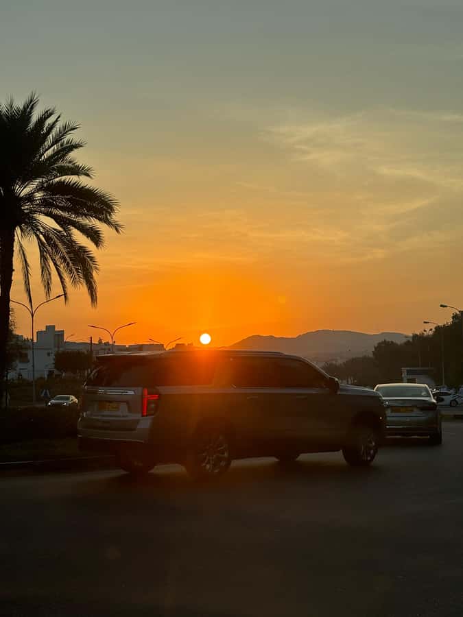 From Muscat: 6-Day Tour of City, Wadis, Desert & Mountains - One desert night gives the tour its big silence