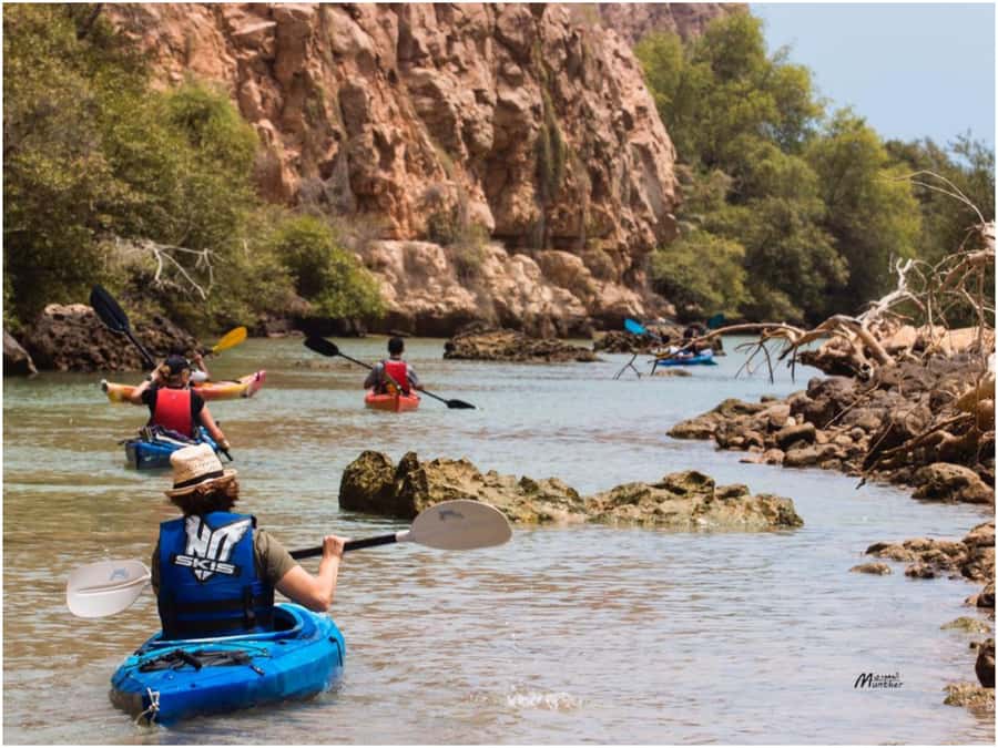 From Muscat: Al Qurum Beach Sunset Kayaking Experience - Key points to know before you paddle